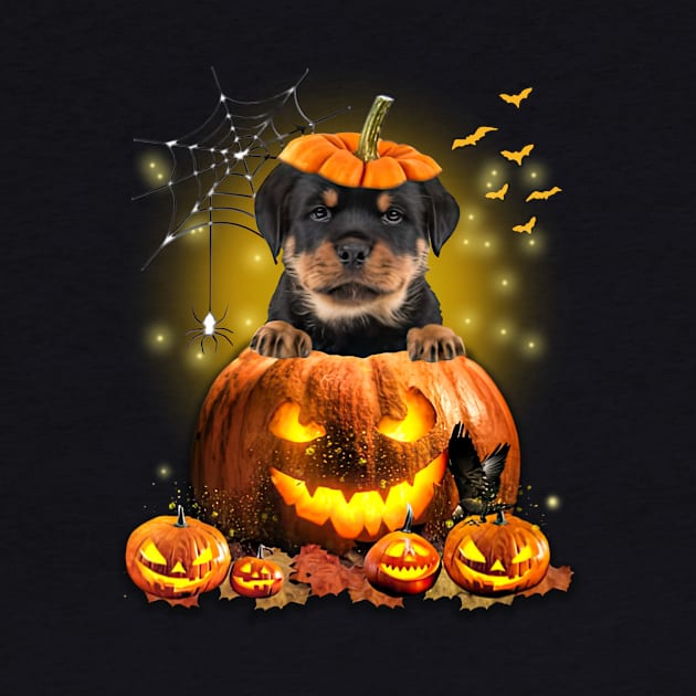 Rottweiler Spooky Halloween Pumpkin Dog Head by Mhoon 